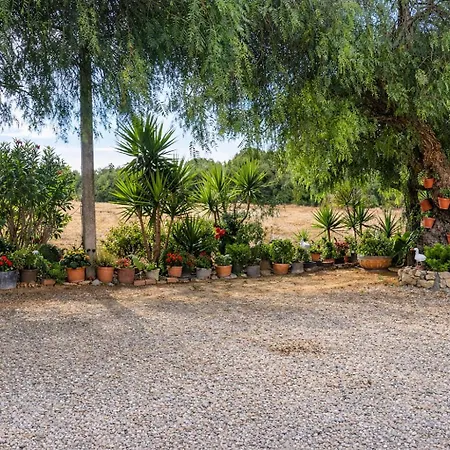 2 Con Piscina Privada