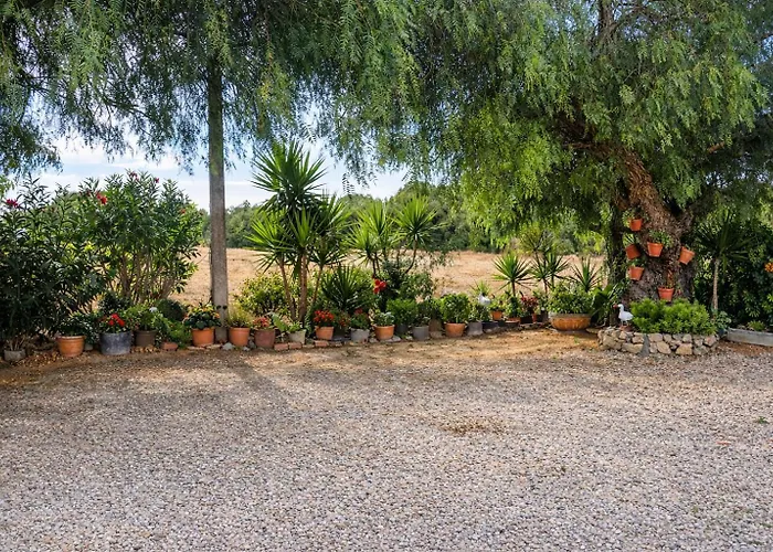 2 Con Piscina Privada